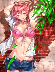 Rule 34 | 1girl, adjusting hair, arms up, bangle, bikini, bikini under clothes, blush, bracelet, breasts, brick wall, choker, cleavage, collarbone, cowboy shot, denim, denim shorts, female focus, follen (639594), front-tie bikini top, front-tie top, heterochromia, jewelry, large breasts, leaf, long hair, looking at viewer, navel, necklace, open clothes, open fly, open shirt, open shorts, original, outdoors, parted lips, pendant, pink bikini, pink eyes, pink hair, purple eyes, red eyes, shadow, shirt, short shorts, shorts, side-tie bikini bottom, sleeves rolled up, solo, standing, stomach, swimsuit, swimsuit under clothes, unzipped, wall, white shirt