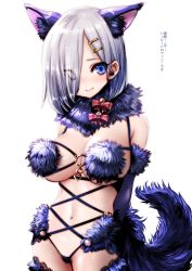 Rule 34 | 1girl, animal ears, blue eyes, blue gloves, breasts, cosplay, elbow gloves, eyebrows, eyes visible through hair, fate/grand order, fate (series), gloves, hair ornament, hair over one eye, hairclip, halloween costume, hamakaze (kancolle), highres, kantai collection, large breasts, look-alike, looking at viewer, mash kyrielight, mash kyrielight (dangerous beast), mash kyrielight (dangerous beast) (cosplay), navel, official alternate costume, shielder (fate/grand order) (cosplay), short hair, silver hair, simple background, smile, souryu, thighhighs, translated, white background, wolf ears