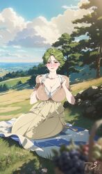 Rule 34 | 1girl, absurdres, artist name, blanket, blurry, blurry foreground, blush, bra, bra peek, breasts, brown shirt, brown skirt, closed mouth, cloud, cloudy sky, commentary, commission, dappled sunlight, day, food, four murasame, fruit, grapes, grass, green eyes, green hair, gundam, high-waist skirt, highres, horizon, large breasts, looking at viewer, open clothes, open shirt, opened by self, outdoors, pixiv commission, puffy short sleeves, puffy sleeves, r3dfive, shirt, short hair, short sleeves, sitting, skirt, sky, smile, solo, sunlight, tree, underwear, white bra, zeta gundam