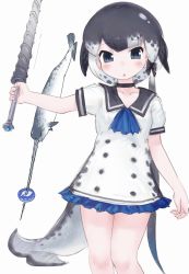 Rule 34 | 1girl, black choker, blue bow, blue eyes, blush, bow, cetacean tail, choker, collarbone, dress, fins, fish tail, food, frilled dress, frills, grey hair, hair bow, highres, japari bun, kemono friends, looking at viewer, multicolored hair, narwhal, narwhal (kemono friends), neck ruff, polearm, puffy short sleeves, puffy sleeves, sailor dress, short hair, short hair with long locks, short sleeves, solo, spear, tail, toxicnyannyan, weapon, white dress, white hair
