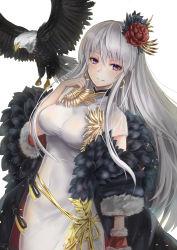 Rule 34 | 1girl, absurdres, alternate costume, azur lane, bird, black ribbon, blush, breasts, china dress, chinese clothes, chushou wang, closed mouth, coat, covered navel, dress, dutch angle, eagle, earrings, enterprise (azur lane), enterprise (blooming peony) (azur lane), feather-trimmed coat, flower, fur-trimmed sleeves, fur trim, gold trim, hair between eyes, hair flower, hair ornament, highres, hoop earrings, jewelry, light particles, long hair, looking at viewer, medium breasts, off shoulder, pelvic curtain, purple eyes, red flower, ribbon, sidelocks, silver hair, simple background, sitting, sky, smile, solo, taut clothes, taut dress, thighs, white background, white dress