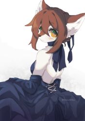 Rule 34 | 1girl, animal ears, body fur, brown eyes, brown hair, corset, detached sleeves, dog ears, dress, female focus, from behind, furry, furry female, inumimi-syndrome, looking back, original, solo, strapless, twitter username