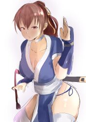 Rule 34 | 1girl, absurdres, breasts, brown hair, dead or alive, dizuit plus, fighting stance, highres, kasumi (doa), large breasts, long hair, ninja, pelvic curtain, ponytail, short sleeves, sword, thighhighs, weapon, white background