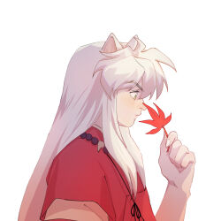 Rule 34 | 1boy, animal ears, autumn leaves, bead necklace, beads, dog ears, from side, hand up, highres, holding, holding leaf, inuyasha, inuyasha (character), japanese clothes, jewelry, leaf, long hair, looking at hand, looking down, male focus, maple leaf, necklace, sidelocks, simple background, solo, upper body, white background, white hair, yellow eyes, yuigacyako