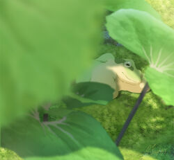 Rule 34 | amphibian eyes, animal, animal focus, blurry, blurry foreground, day, frog, grass, hachiya shohei, lying, no humans, on grass, on side, original, outdoors, plant