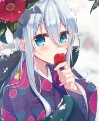 Rule 34 | 1girl, blue eyes, blurry, blurry background, blush, commentary request, covered mouth, depth of field, floral print, flower, hair between eyes, hand up, holding, inose riku, japanese clothes, kimono, long hair, long sleeves, looking at viewer, original, petals, print kimono, purple kimono, red flower, silver hair, snow, solo, upper body, wide sleeves