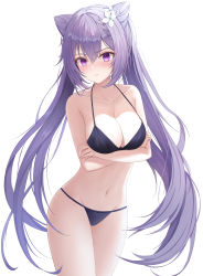 Rule 34 | 1girl, absurdres, bare arms, bare shoulders, bikini, black bikini, blush, breasts, cc lin, chinese commentary, collarbone, commentary request, cowboy shot, crossed arms, flower, genshin impact, groin, hair between eyes, hair flower, hair ornament, highres, keqing (genshin impact), large breasts, long hair, looking at viewer, navel, purple eyes, purple hair, simple background, solo, standing, stomach, swimsuit, thighs, twintails, very long hair, white background, white flower