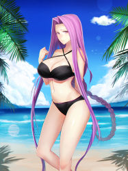 Rule 34 | 1girl, blue sky, braid, breasts, cloud, day, fate/grand order, fate/stay night, fate (series), forehead, hair intakes, large breasts, long hair, medusa (fate), medusa (rider) (fate), minami koyogi, ocean, official alternate costume, outdoors, palm tree, purple eyes, purple hair, single braid, sky, solo, square pupils, standing, tree, very long hair