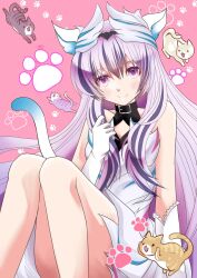 Rule 34 | 1girl, animal ears, bare shoulders, black choker, black hair, cat, cat day, cat ears, cat tail, choker, closed mouth, dress, fire emblem, fire emblem engage, gloves, grey hair, hair between eyes, highres, long hair, looking at viewer, multicolored hair, nintendo, paw print, paw print background, pink background, purple eyes, sleeveless, sleeveless dress, smile, sylphy fe, tail, two-tone hair, veyle (fire emblem), white dress, white gloves, wing hair ornament