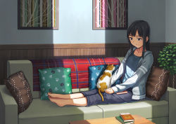 Rule 34 | 1girl, animal, animal on lap, barefoot, black hair, blue eyes, book, book on lap, book stack, capri pants, cardigan, cat, cat on lap, coffee table, couch, drawing (object), full body, grey cardigan, hashi, indoors, light smile, long hair, looking down, on lap, open cardigan, open clothes, original, outstretched leg, pants, pillow, plantar flexion, sidelocks, solo, sunlight, table, toenails