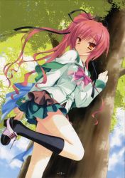 Rule 34 | 1girl, absurdres, against tree, arm support, black socks, bow, bowtie, breasts, highres, impossible clothes, impossible shirt, kneehighs, kobuichi, leg lift, long hair, looking at viewer, magus tale, medium breasts, orange eyes, ponytail, putting on shoes, red hair, school uniform, seera finis victoria, serafuku, shirt, skirt, socks, solo, tree