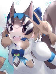 Rule 34 | 1girl, animal ears, chipmunk ears, chipmunk girl, chipmunk tail, extra ears, highres, kemono friends, kemono friends v project, looking at viewer, rnrwbhybsxj4qgk, siberian chipmunk (kemono friends), simple background, solo, tail, virtual youtuber