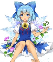 Rule 34 | 1girl, :d, barefoot, blue bow, blue dress, blue eyes, blue hair, blush, bow, cirno, dress, feet, flower, hair bow, ice, ice wings, kaoling, knees together feet apart, looking at viewer, morning glory, neck ribbon, open mouth, plant, puffy short sleeves, puffy sleeves, red ribbon, ribbon, short hair, short sleeves, sitting, smile, solo, sunflower, tan, tanned cirno, toes, touhou, vines, wing collar, wings