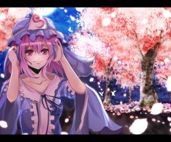Rule 34 | 1girl, bad id, bad pixiv id, blush, bug, butterfly, cherry blossoms, dress, female focus, hat, bug, letterboxed, nature, outdoors, petals, pink eyes, pink hair, plant, saigyouji yuyuko, short hair, sky, smile, solo, sparkle, touhou, triangular headpiece, velia