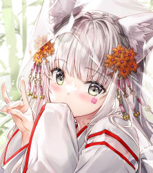 Rule 34 | 1girl, animal ear fluff, animal ears, bamboo, commentary request, flower, fox shadow puppet, fujima takuya, grey eyes, grey hair, hair flower, hair ornament, hands up, japanese clothes, kimono, long hair, long sleeves, looking at viewer, nail polish, orange flower, original, pink nails, see-through, sleeves past fingers, sleeves past wrists, solo, veil, white kimono