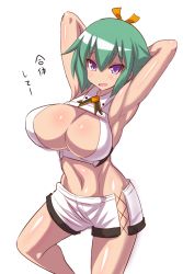 Rule 34 | 10s, 1girl, aquarion (series), aquarion evol, armpits, arms behind head, arms up, breasts, cleavage, female focus, green hair, konno tohiro, large breasts, midriff, navel, purple eyes, short hair, simple background, smile, solo, toned, translated, white background, zessica wong