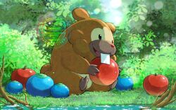 apple berry_(pokemon) bidoof commentary_request creatures_(company) day edomon-do food fruit game_freak gen_4_pokemon grass holding holding_food holding_fruit nintendo no_humans oran_berry outdoors pokemon pokemon_(creature) sitting solo water watermark