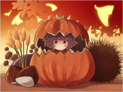 Rule 34 | 1girl, absurdres, aged down, artist request, blush, brown eyes, cattail, chestnut, closed mouth, highres, looking at viewer, plant, pumpkin, purple hair, short hair, solo, touhou, yasaka kanako