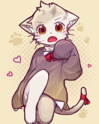 Rule 34 | 1boy, animal ears, blush, body fur, cat boy, cat ears, cat tail, child, fangs, furry, furry male, halftone, halftone background, looking at viewer, male focus, orange eyes, original, popokachip, ribbon, sleeves past wrists, solo, sweater, tail, tail ornament, tail ribbon, tareme, whiskers, white fur
