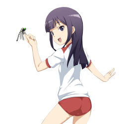 Rule 34 | 1girl, alternate costume, ass, bug, buruma, caryo, dragonfly, gym uniform, bug, long hair, looking at viewer, looking back, lowres, midori boushi, open mouth, purple eyes, purple hair, simple background, smile, solo, white background, working!!, yamada aoi