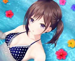 Rule 34 | 1girl, bad id, bad pixiv id, bikini, breasts, brown hair, collarbone, commentary request, flower, looking at viewer, mito ichijyo, original, parted lips, partially submerged, polka dot, polka dot bikini, polka dot swimsuit, purple eyes, short hair, side ponytail, small breasts, solo, swimsuit, upper body, water