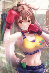 Rule 34 | 1girl, absurdres, animal collar, animal ears, blush, bone hair ornament, boxing gloves, breasts, brown eyes, brown hair, cleavage, collar, dog ears, dog girl, dog tail, hair between eyes, hair ornament, highres, hololive, inugami korone, large breasts, long hair, looking at viewer, midriff, navel, ponytail, red collar, shorts, solo, sports bra, tail, teeth, virtual youtuber, wajuniorbox