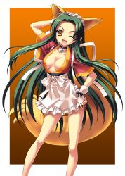 Rule 34 | 1girl, absurdres, animal ears, apron, choker, commentary request, fang, feet out of frame, fox ears, fox tail, frilled apron, frills, gradient background, green hair, hand on own hip, highres, kemonomimi mode, long hair, looking at viewer, ngo (ngo dandelion), no bra, one eye closed, open mouth, orange background, short sleeves, solo, standing, suzumiya haruhi no yuuutsu, tail, tsuruya, very long hair, white apron, wide sleeves, wrist cuffs, yellow eyes