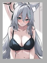 Rule 34 | 1girl, animal ear fluff, animal ears, arm support, black bra, blue archive, blush, border, bow, bow bra, bra, breasts, cleavage, collarbone, grey border, grey eyes, grey hair, hair between eyes, halo, lace, lace-trimmed bra, lace trim, large breasts, long hair, looking at viewer, marisasu (marisa0904), navel, shiroko (blue archive), shiroko terror (blue archive), solo, underwear, upper body, very long hair