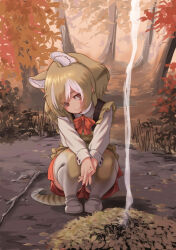 Rule 34 | 1girl, animal ears, brown eyes, brown hair, forest, highres, kemono friends, kosai takayuki, looking at viewer, multicolored hair, nature, outdoors, pleated skirt, red skirt, short hair, skirt, smoke, solo, squatting, tail, thighhighs, thylacine (kemono friends), tree, white footwear, white hair