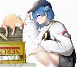 Rule 34 | 1girl, akinosub, baseball cap, black hat, black shorts, blue hair, blush, box, cattail, closed mouth, commentary request, crate, double bun, feet out of frame, green hair, hair between eyes, hair bun, hat, high-waist shorts, highres, long bangs, long sleeves, looking at animal, mole, mole under eye, multicolored hair, nanashi inc., official alternate costume, orange cat, pink eyes, plant, short hair, shorts, simple background, single strap, smile, solo, squatting, suzumi nemo, suzumi nemo (2nd costume), sweater, two-tone hair, virtual youtuber, white background, white sweater