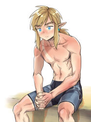 Rule 34 | 1boy, blue shorts, earrings, jewelry, link, low ponytail, male focus, monbetsu kuniharu, nintendo, own hands clasped, own hands together, pointy ears, shorts, sidelocks, sitting, solo, sunburn, tan, tanline, the legend of zelda, the legend of zelda: breath of the wild, toned, toned male, topless male, translation request
