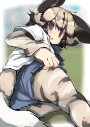 Rule 34 | 1girl, african wild dog (kemono friends), african wild dog print, animal ears, animal print, bad id, bad pixiv id, black hair, blonde hair, blush, bodystocking, brown eyes, cutoffs, dog ears, dog tail, fang, from behind, highres, kemono friends, layered sleeves, long sleeves, looking at viewer, looking back, lying, multicolored hair, on side, open mouth, platinum blonde hair, shirt, short over long sleeves, short sleeves, shorts, solo, tail, teranekosu, upshorts, white shirt
