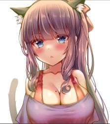 Rule 34 | 1girl, animal ear fluff, animal ears, bare shoulders, black shirt, blue eyes, blush, bra, bra strap, breasts, brown hair, cat ears, cat girl, cat tail, cleavage, close-up, collarbone, extra ears, fake animal ears, hair ribbon, hairband, kaptivate, kemonomimi mode, large breasts, long hair, looking at viewer, mole, mole on breast, new game!, off-shoulder shirt, off shoulder, parted lips, ponytail, red bra, ribbon, shirt, sidelocks, simple background, slit pupils, solo, tail, tail raised, takimoto hifumi, underwear, upper body, white background