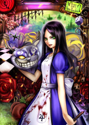Rule 34 | 1girl, ?, alice: madness returns, alice (alice in wonderland), alice in wonderland, alice liddell (american mcgee&#039;s alice), american mcgee&#039;s alice, black hair, blood, cheshire cat (alice in wonderland), dice, dress, english text, flower, green eyes, highres, holding, knife, lips, long hair, looking at viewer, nidoro, rose, smile, solo, teeth