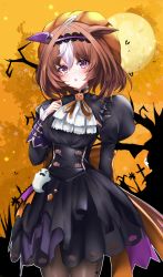 Rule 34 | 1girl, :o, absurdres, ahoge, animal ears, arm behind back, ascot, back bow, bare tree, bat (animal), black dress, blush, bow, brown hair, commentary, cowboy shot, dress, ear covers, frilled sleeves, frills, frown, full moon, ghost, ghost ornament, graveyard, hairband, halloween, halloween costume, hand on own chest, hat, high collar, highres, horse ears, horse girl, horse tail, jack-o&#039;-lantern ornament, juliet sleeves, lace-trimmed hairband, lace trim, large bow, long sleeves, looking at viewer, medium hair, meisho doto (dot-o&#039;-lantern) (umamusume), meisho doto (umamusume), moon, multicolored hair, neck ribbon, night, official alternate costume, orange bow, orange headwear, orange ribbon, orange sky, outdoors, parted lips, puffy sleeves, pumpkin hat, purple eyes, purple hairband, ribbon, setu (shining12), short dress, single ear cover, sky, solo, standing, tail, tree, two-tone hair, umamusume, white ascot, white hair