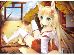 Rule 34 | 1girl, animal ear fluff, animal ears, arm support, autumn leaves, bare shoulders, blonde hair, breasts, cleavage, duji amo, fox, fox ears, fox tail, green eyes, hair ornament, japanese clothes, leaf, long hair, looking at viewer, looking back, maple leaf, medium breasts, miko, off shoulder, open mouth, original, sitting, solo, tail, thighhighs, usagihime, very long hair, white thighhighs