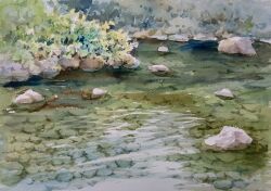 Rule 34 | akemisuisai, day, forest, grass, highres, nature, no humans, original, painting (medium), river, riverbank, rock, scenery, shallow water, stream, sunlight, traditional media, water, watercolor (medium)