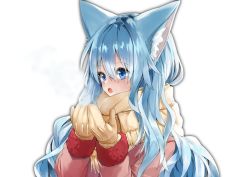 Rule 34 | 1girl, animal ear fluff, animal ears, blue eyes, blue hair, breath, coat, cold, commentary request, fangs, fox ears, fox girl, long hair, long sleeves, mittens, open mouth, original, pink coat, scarf, simple background, solo, waichi, white background