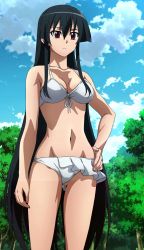 Rule 34 | 10s, 1girl, absurdres, akame (akame ga kill!), akame ga kill!, bikini, breasts, cloud, hand on own hip, highres, long hair, navel, red eyes, screencap, solo, stitched, swimsuit, tagme, third-party edit, very long hair