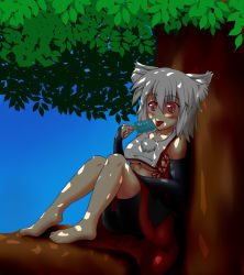 Rule 34 | 1girl, animal ears, bare shoulders, blush, breasts, dappled sunlight, detached sleeves, ice, in tree, inubashiri momiji, kunoo (unnyuu), large breasts, licking, pom pom (clothes), red eyes, short hair, silver hair, sitting, sitting in tree, solo, sunlight, tongue, tongue out, touhou, tree, underboob, wolf ears