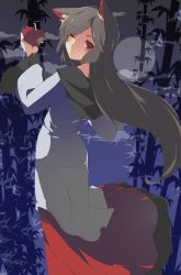 Rule 34 | 1girl, animal ears, apple, back, bad id, bad twitter id, bamboo, bamboo forest, brown hair, cloud, dress, food, forest, fruit, full moon, hasebe yuusaku, imaizumi kagerou, long hair, long sleeves, looking at viewer, looking back, moon, nature, night, one eye closed, red eyes, solo, touhou, wide sleeves, wolf ears