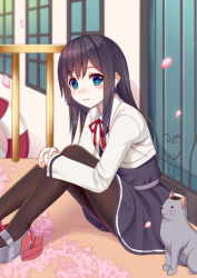 Rule 34 | 10s, 1girl, animal, asashio (kancolle), belt, black dress, black hair, black pantyhose, black skirt, blue eyes, blush, bow, bowtie, cat, cherry blossoms, commentary request, door, dress, eyebrows, from side, hair between eyes, hands on own knees, hat, hugging own legs, ikeda yuuki, indoors, kantai collection, long hair, long sleeves, looking at viewer, looking to the side, neck ribbon, outdoors, pantyhose, peaked cap, petals, pinafore dress, railing, red ribbon, revision, ribbon, school uniform, sitting, skirt, sleeveless, sleeveless dress, smile, window