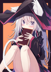 Rule 34 | 1girl, absurdres, animal ear fluff, animal ears, black robe, book, cat ears, cat girl, cat tail, covered mouth, ears through headwear, hat, highres, holding, holding book, long hair, looking at viewer, original, purple eyes, robe, sitting, su ha ya, tail, white hair, wide sleeves, witch, witch hat