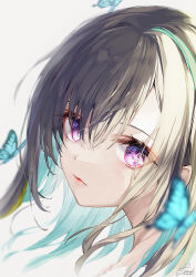 Rule 34 | 1girl, animal, black hair, blue hair, bug, butterfly, closed mouth, grey background, hair between eyes, insect, looking at viewer, multicolored hair, original, portrait, purple eyes, satsuki misuzu, simple background, solo, two-tone hair