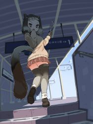 Rule 34 | 1girl, absurdres, alpine marmot (kemono friends), animal ears, beige sweater, black gloves, black hair, commentary request, from below, gloves, grey hair, grey thighhighs, handheld electric fan, highres, iwa (iwafish), kemono friends, long sleeves, looking at viewer, multicolored hair, plaid, plaid skirt, pleated skirt, red skirt, short hair, skirt, solo, squirrel ears, squirrel girl, squirrel tail, tail, thighhighs, two-tone hair, zettai ryouiki