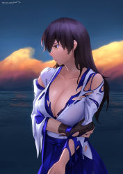 Rule 34 | 1girl, alternate hairstyle, blue hakama, breasts, brown eyes, brown gloves, brown hair, cloud, collarbone, echt, gloves, hair down, hakama, hakama skirt, highres, japanese clothes, kaga (kancolle), kantai collection, large breasts, long hair, ocean, outdoors, partially fingerless gloves, partly fingerless gloves, single glove, skirt, solo, sweat, torn clothes, upper body, yugake