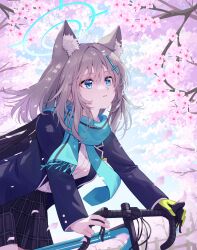 Rule 34 | 1girl, absurdres, ajeu914, animal ear fluff, animal ears, bicycle, black jacket, black skirt, blazer, blue archive, blue eyes, blue halo, blue necktie, blue scarf, breasts, buttons, cherry blossoms, cross hair ornament, extra ears, grey hair, hair ornament, halo, highres, jacket, long sleeves, medium breasts, medium hair, mismatched pupils, necktie, open mouth, petals, pleated skirt, scarf, shiroko (blue archive), skirt, solo, wolf ears