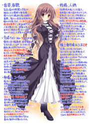 Rule 34 | 1girl, blush, breasts, brown hair, closed mouth, dress, eyebrows, full body, high heels, hijiri byakuren, large breasts, long hair, solo, touhou, wall of text, xe (execut3r), yellow eyes