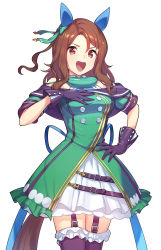 Rule 34 | 1girl, absurdres, brown eyes, brown hair, cowboy shot, dress, frilled thighhighs, frills, garter straps, gloves, green322, hand on own hip, hand up, highres, king halo (umamusume), medium hair, open mouth, purple gloves, purple thighhighs, short dress, simple background, solo, tail, teeth, thighhighs, umamusume, upper teeth only, white background