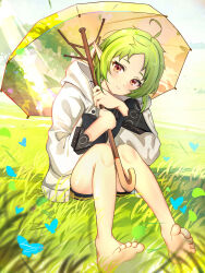 Rule 34 | 1girl, absurdres, ahoge, barefoot, black shorts, closed mouth, day, elf, green hair, highres, holding, holding umbrella, hood, hooded jacket, humany, jacket, looking at viewer, mushoku tensei, on grass, outdoors, pointy ears, red eyes, short hair, shorts, sitting, smile, solo, sylphiette (mushoku tensei), umbrella, white jacket